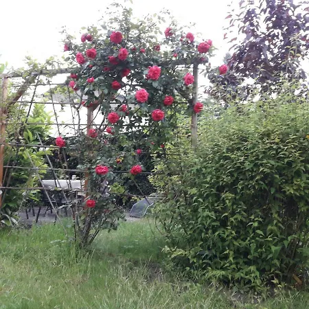 Gartenblick Appartement